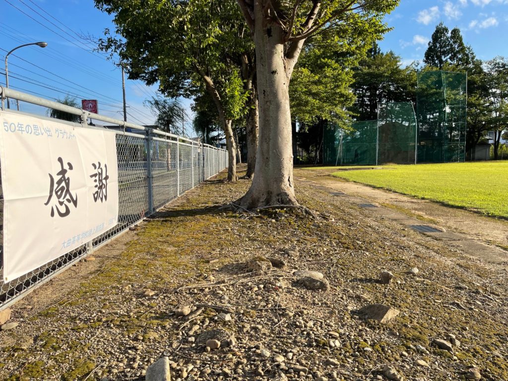 ５０年の想い出